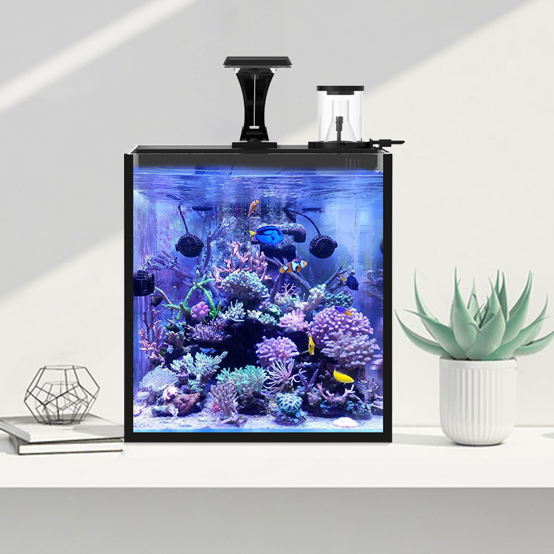 Aquarium Marine Clearwater - Ultra Clear Glass Mini Salt Water
