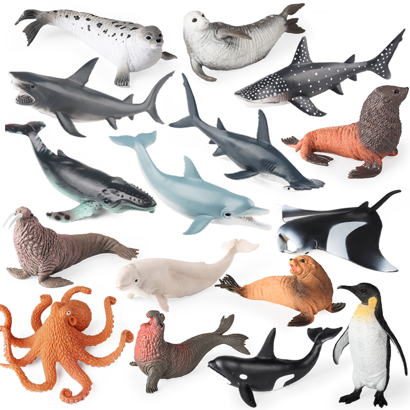 Marine Life Aquariums - Oenux New Sea Life Seal Sea