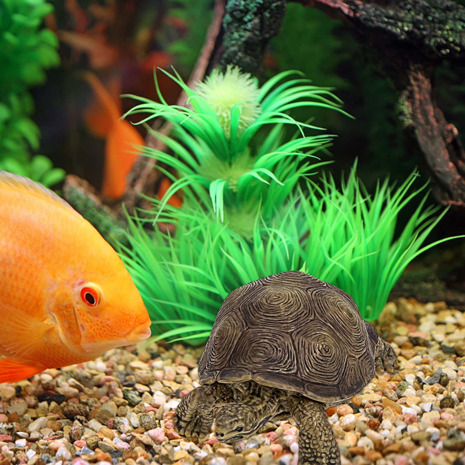 Marine Life Aquariums - 2Pcs Realistic Turtle Sculpture Premium Safe