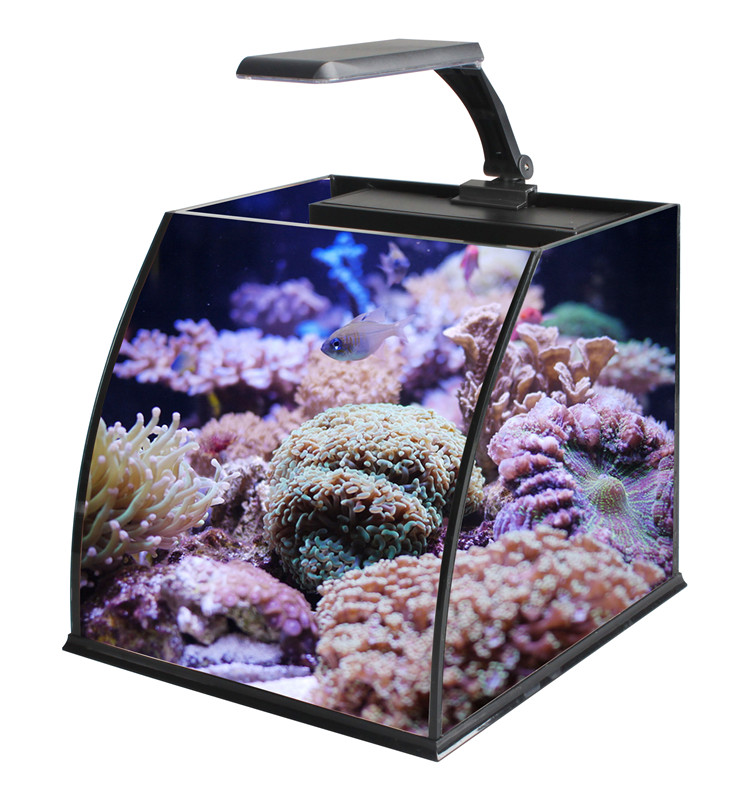 Aquarium Marine Clearwater - Ultra Clear Glass Mini Salt Water