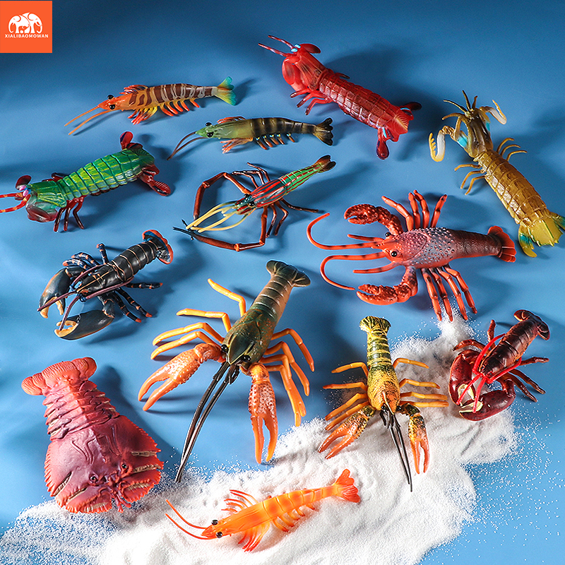 Marine Life Aquariums - Sea Life Animals Boston Lobster Mantis