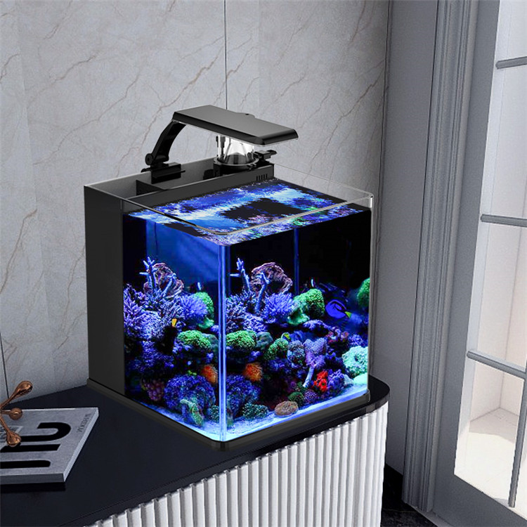 Ultra Clear Glass Mini Salt Wa - Aquarium Marine Clearwater บทวิจารณ์และราคา