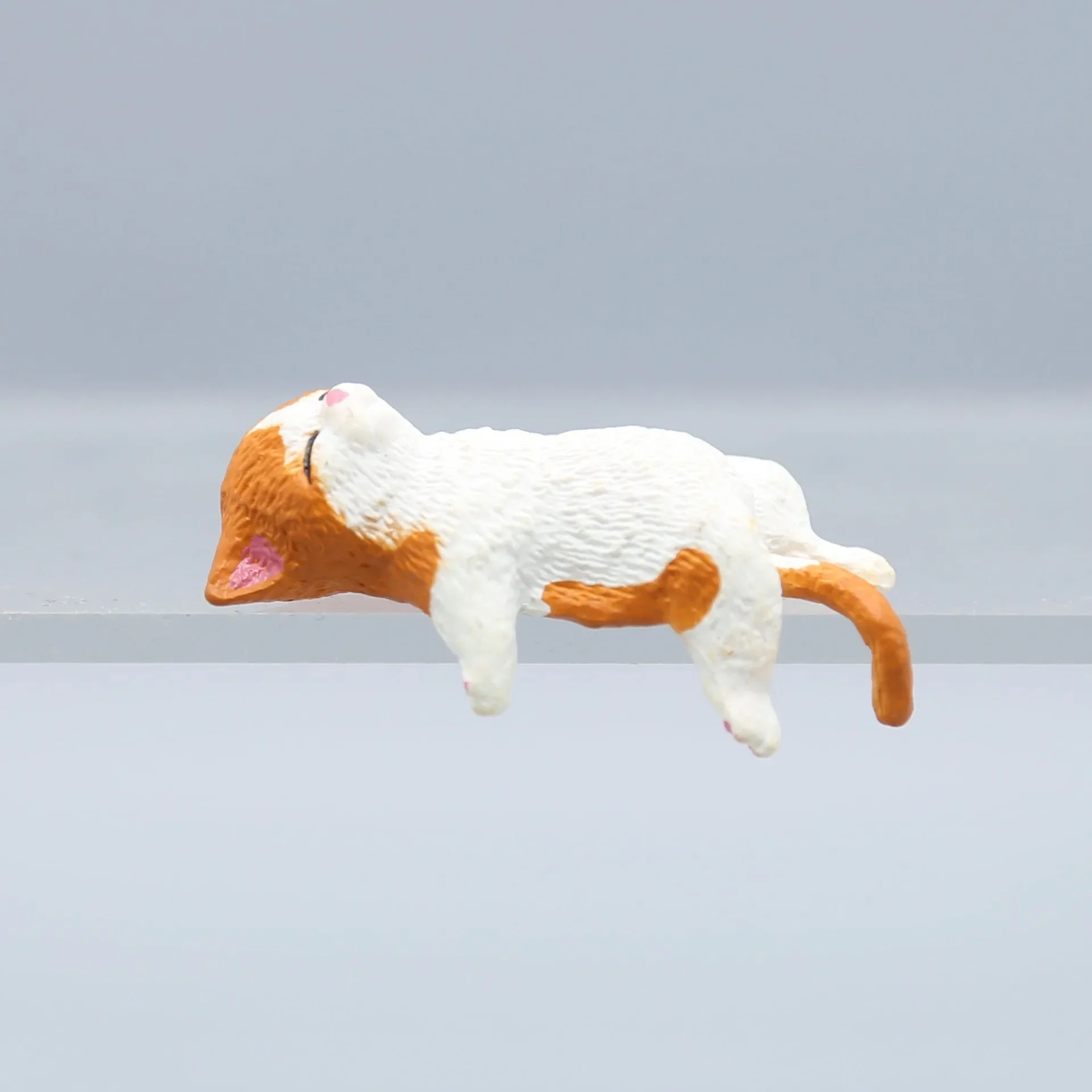 Cute Cartoon Cat Decor PVC Hom - Marine Aquarium Water บทวิจารณ์และราคา