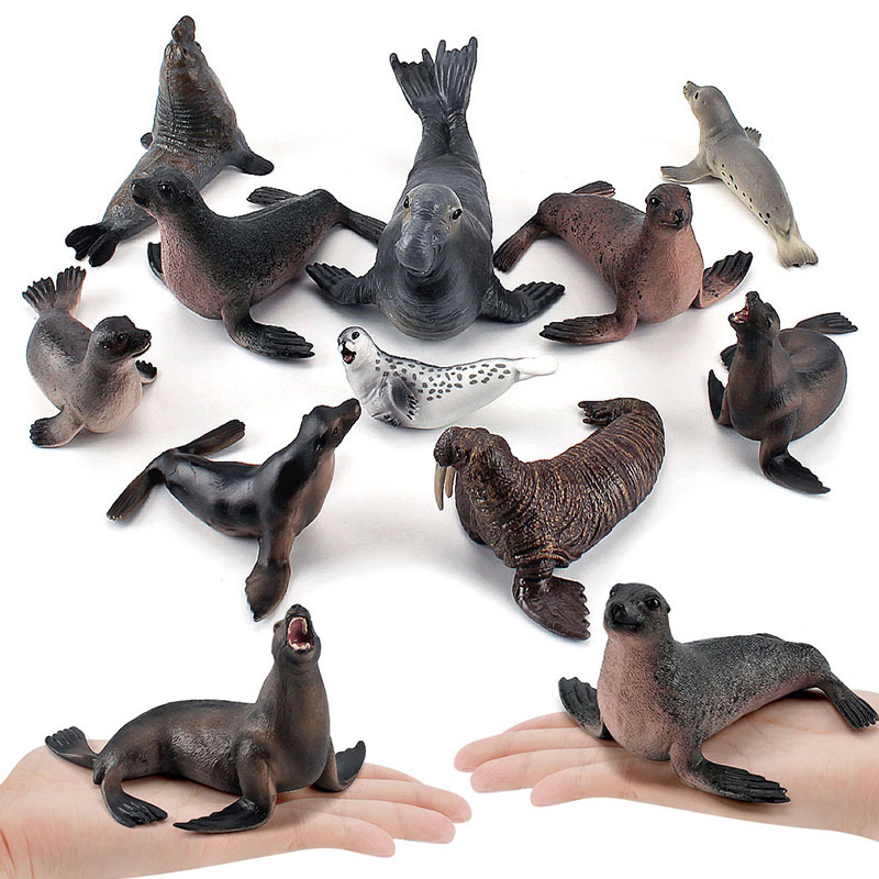 Simulation Ocean Animal Seals  - Marine Life Aquariums บทวิจารณ์และราคา