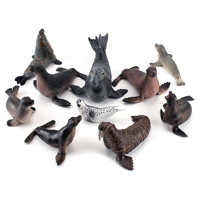 Simulation Ocean Animal Seals  - Marine Life Aquariums บทวิจารณ์และราคา