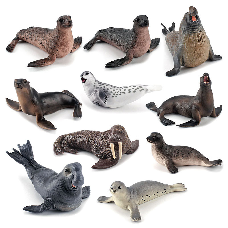 Simulation Ocean Animal Seals  - Marine Life Aquariums บทวิจารณ์และราคา