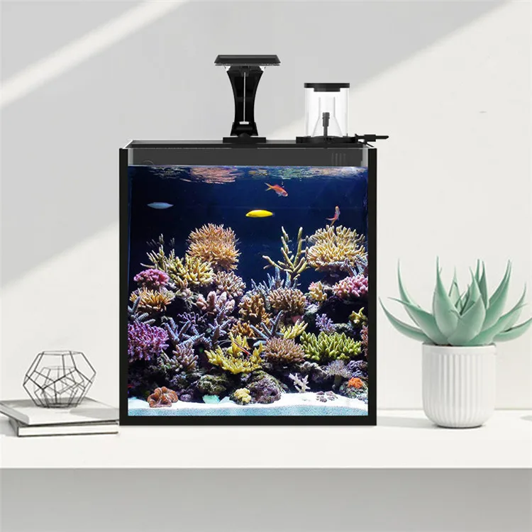 Latest Model Clear Glass Mini  - Aquarium Marine Clearwater บทวิจารณ์และราคา