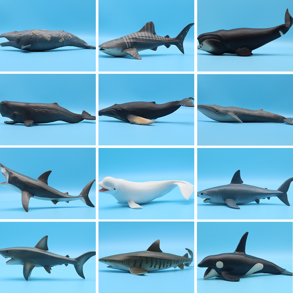 Ocean Sea Life Simulation Kill - Marine Life Aquariums บทวิจารณ์และราคา