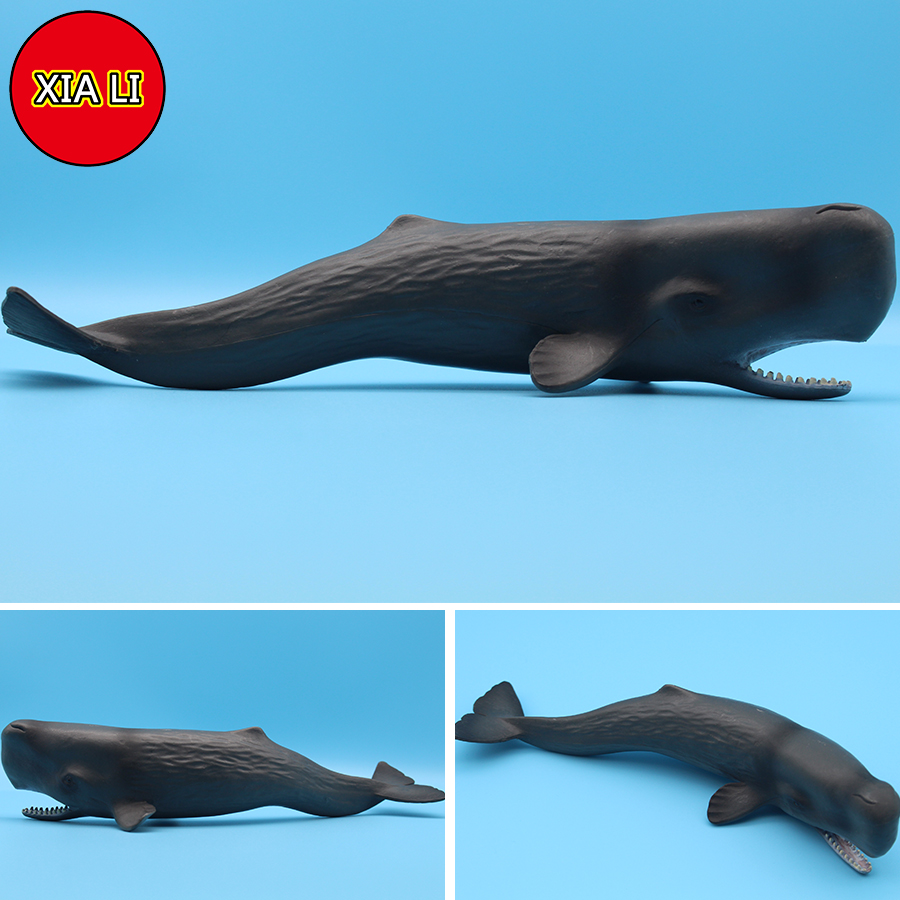 Ocean Sea Life Simulation Kill - Marine Life Aquariums บทวิจารณ์และราคา