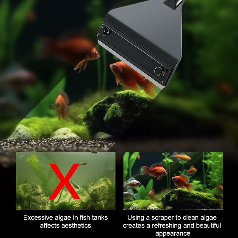 Aquarium Algae Remover Aluminu - Marine Aquarium Glass Scraper บทวิจารณ์และราคา