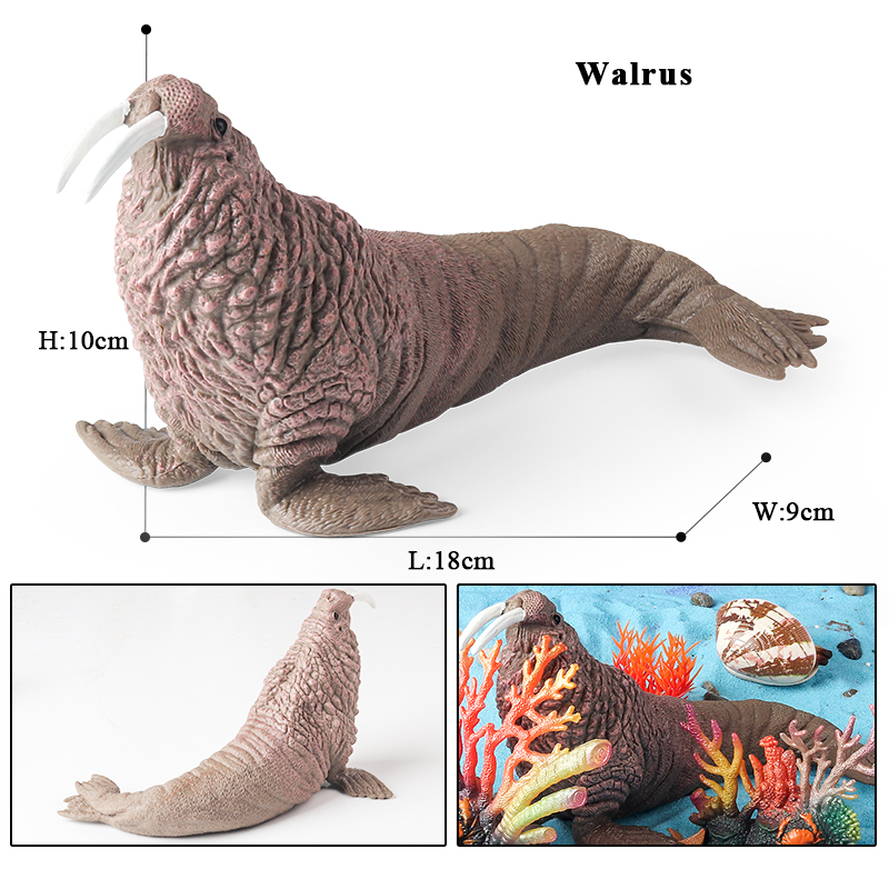 Oenux New Sea Life Seal Sea li - Marine Life Aquariums บทวิจารณ์และราคา