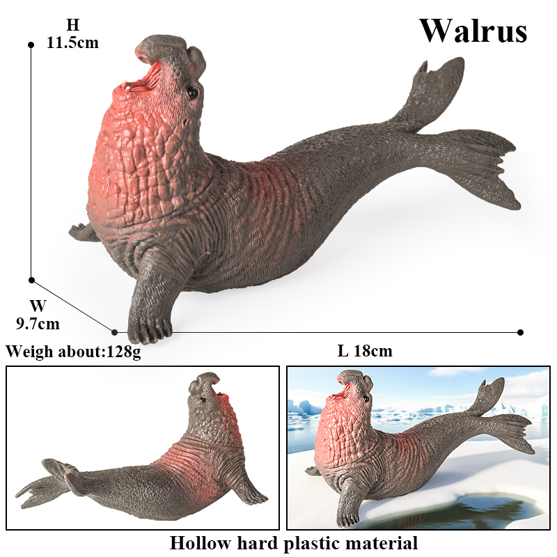 Oenux New Sea Life Seal Sea li - Marine Life Aquariums บทวิจารณ์และราคา