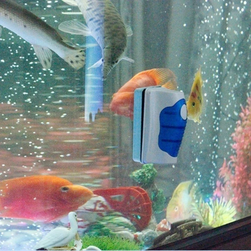 Fish Tank Glass Scraper Cleane - Marine Aquarium Glass Scraper บทวิจารณ์และราคา