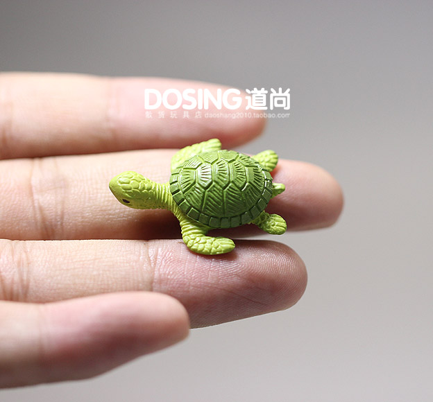 Marine Life Sea Turtle Model O - Marine Life Aquariums บทวิจารณ์และราคา