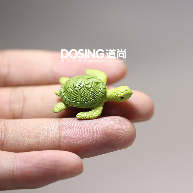 Marine Life Sea Turtle Model O - Marine Life Aquariums บทวิจารณ์และราคา