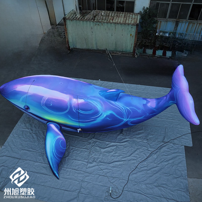 Inflatable blue whale, used as - Marine Life Aquariums บทวิจารณ์และราคา
