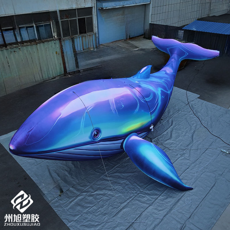 Inflatable blue whale, used as - Marine Life Aquariums บทวิจารณ์และราคา