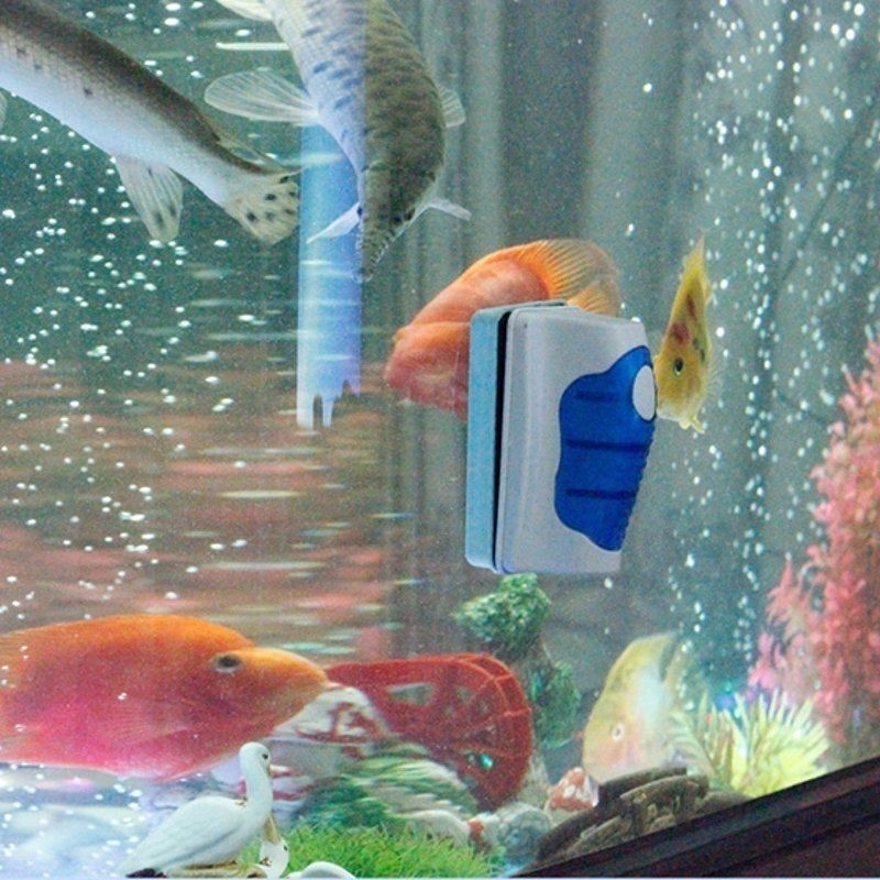 Fish Tank Glass Scraper Cleane - Marine Aquarium Glass Scraper บทวิจารณ์และราคา