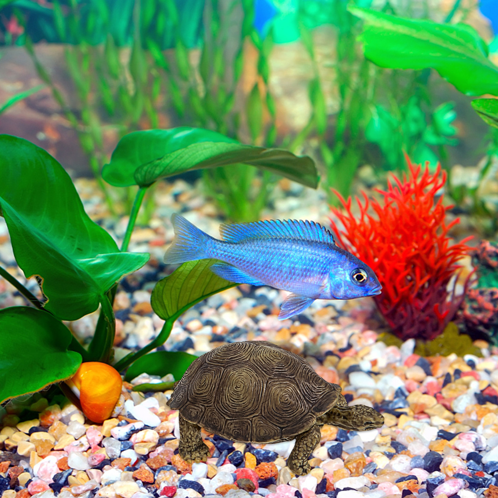 2Pcs Realistic Turtle Sculptur - Marine Life Aquariums บทวิจารณ์และราคา
