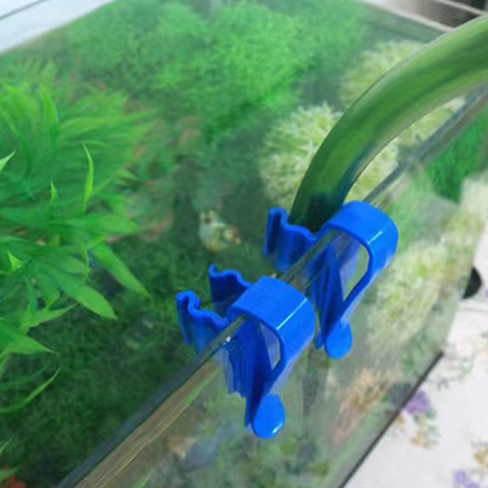 Aquarium Tube Holder Clip Fish - Marine Aquarium Equipment บทวิจารณ์และราคา