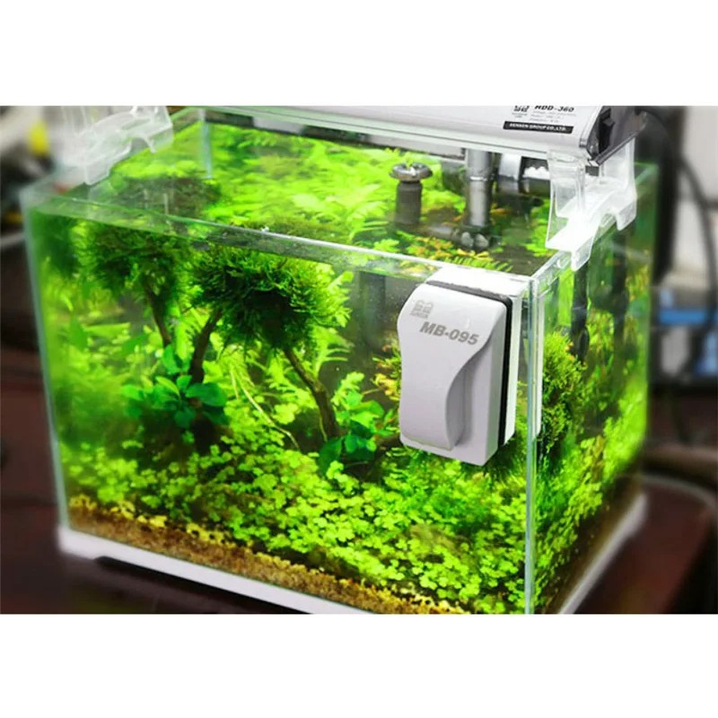 floating magnetic brush for aq - Marine Aquarium Glass Scraper บทวิจารณ์และราคา