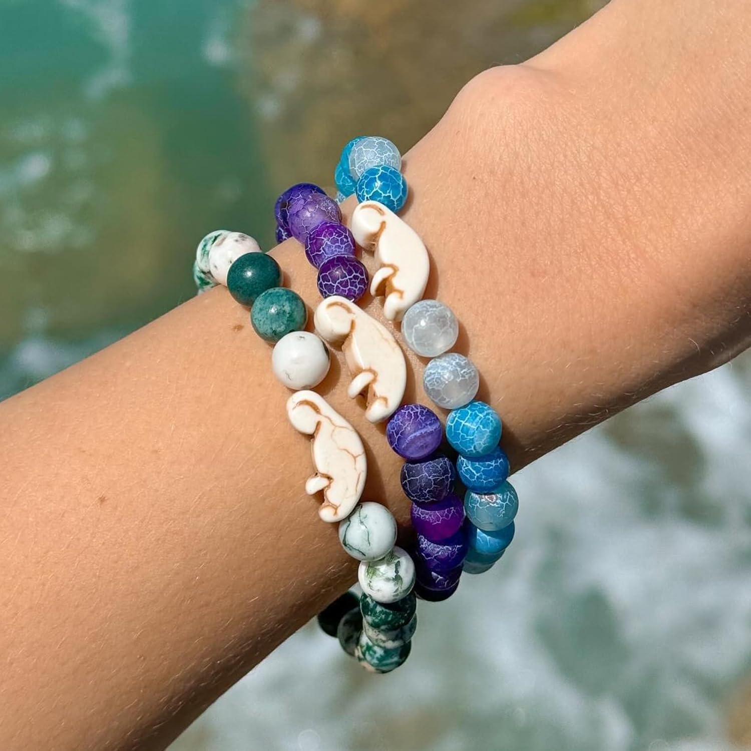Fahlo Drift Manatee Tracking B - Aquarium Marine Clearwater บทวิจารณ์และราคา