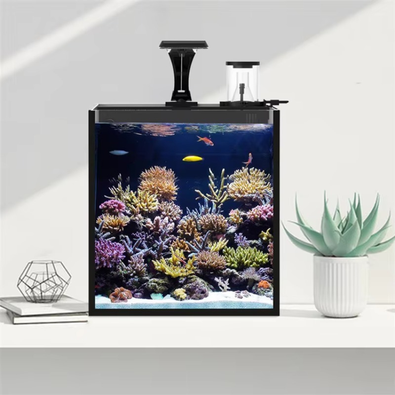 Ultra Clear Glass Mini Salt Wa - Aquarium Marine Clearwater บทวิจารณ์และราคา
