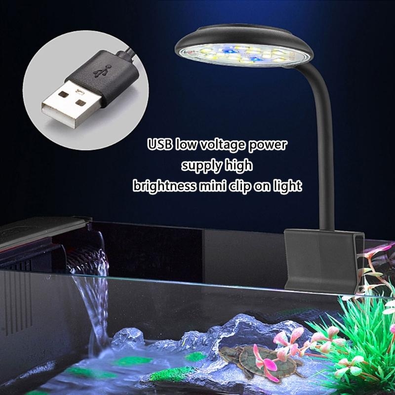 Adjusting Brightness LED Aquar - Marine Life Aquariums บทวิจารณ์และราคา