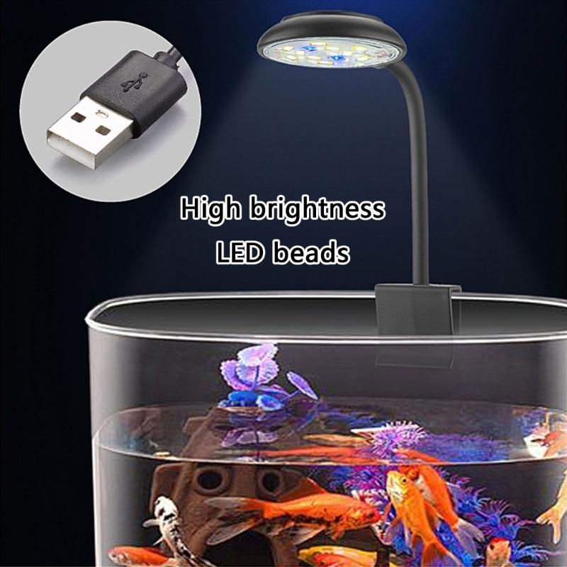 Adjusting Brightness LED Aquar - Marine Life Aquariums บทวิจารณ์และราคา