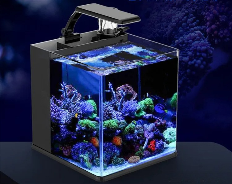 Ultra Clear Glass Mini Salt Wa - Aquarium Marine Clearwater บทวิจารณ์และราคา