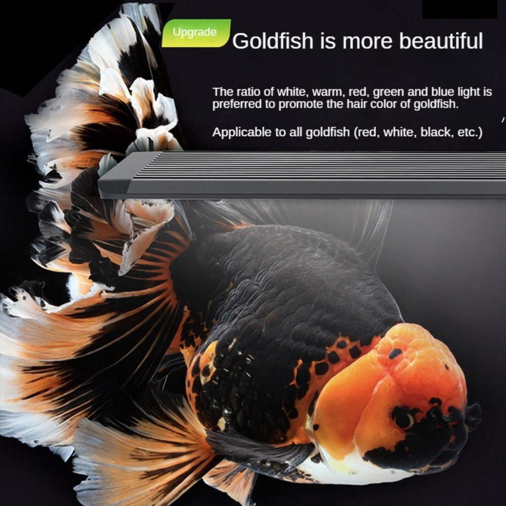 Aquarium Light With Optical Le - Aquarium Marine Clearwater บทวิจารณ์และราคา