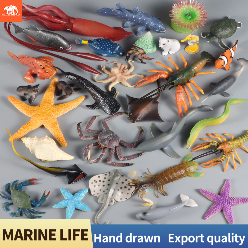 Sea Life Animal Action Figures - Marine Life Aquariums บทวิจารณ์และราคา