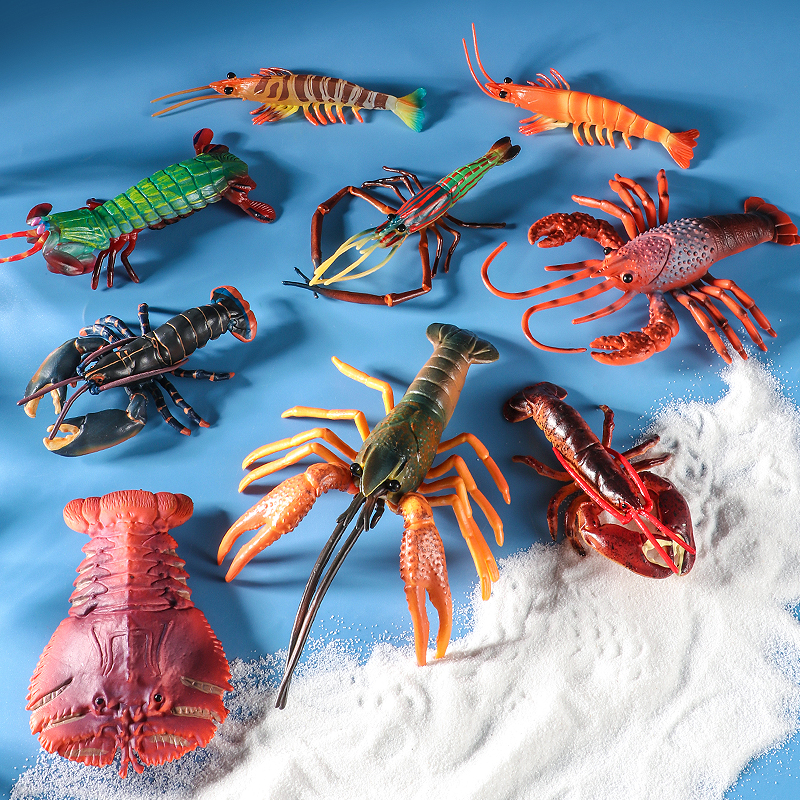 Sea Life Animals Boston Lobste - Marine Life Aquariums บทวิจารณ์และราคา