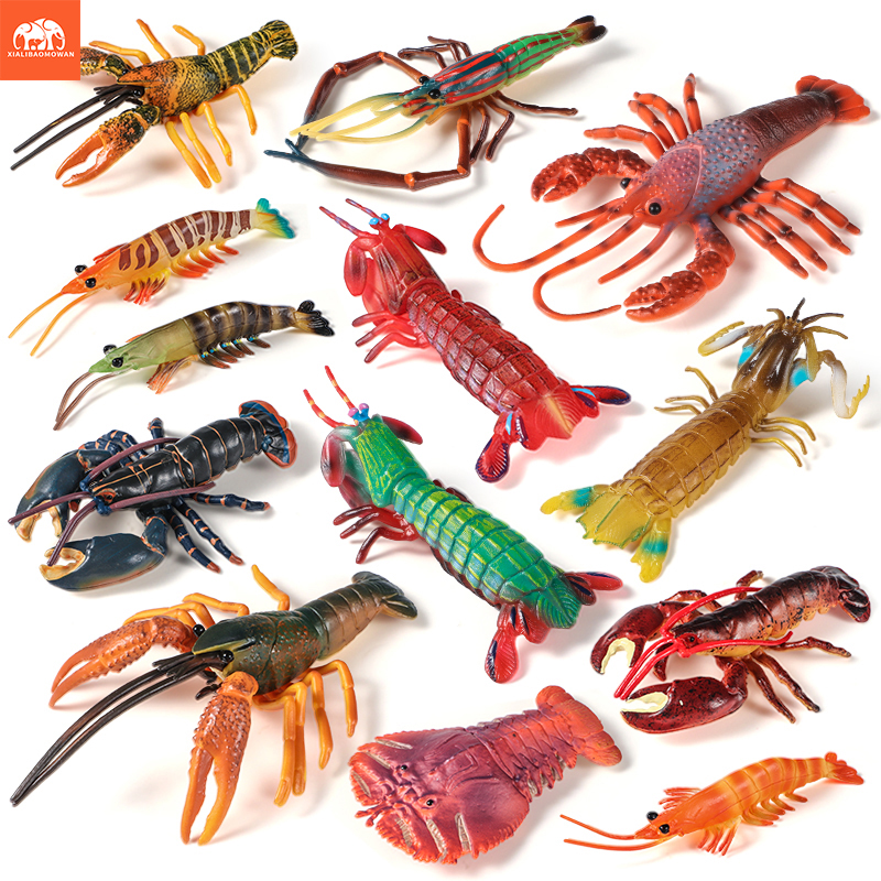 Sea Life Animals Boston Lobste - Marine Life Aquariums บทวิจารณ์และราคา