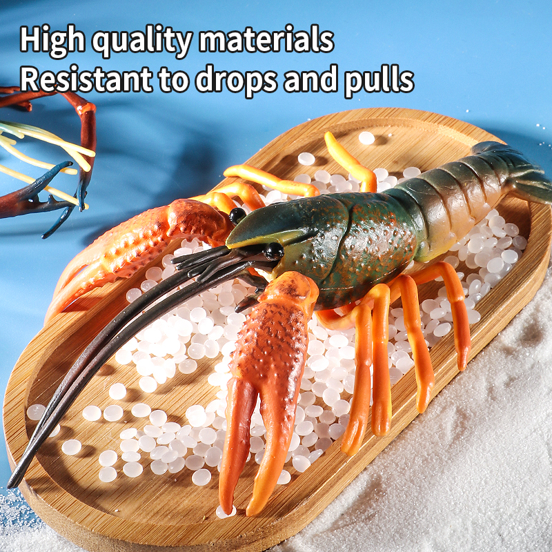 Sea Life Animals Boston Lobste - Marine Life Aquariums บทวิจารณ์และราคา