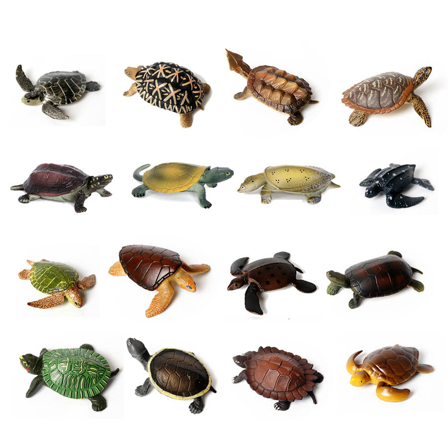Realistic Miniatures Marine Li - Marine Life Aquariums บทวิจารณ์และราคา