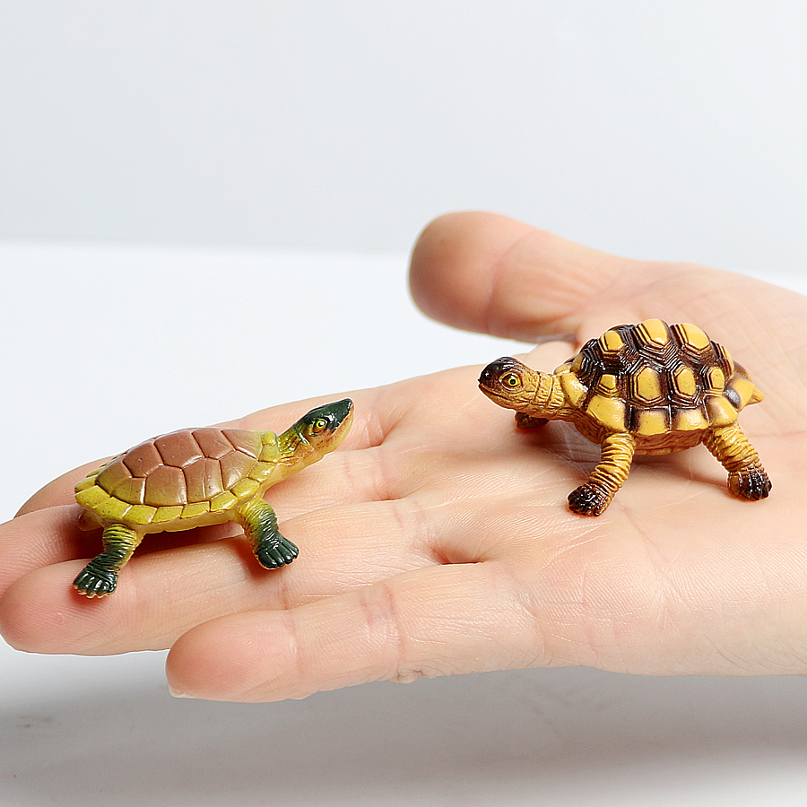 Realistic Miniatures Marine Li - Marine Life Aquariums บทวิจารณ์และราคา