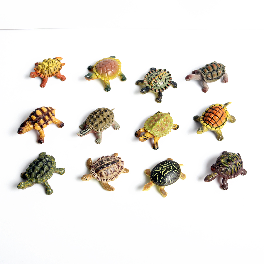 Realistic Miniatures Marine Li - Marine Life Aquariums บทวิจารณ์และราคา